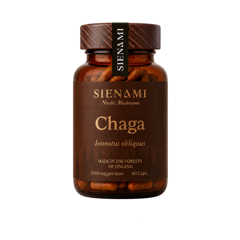 Chaga Double Extract Capsules 60 Caps
